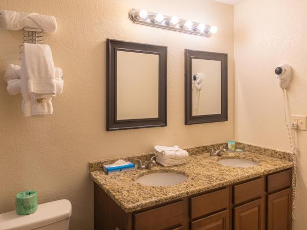 Cottonwood Suites Savannah Hotel & Conference Center : photo 10 de la chambre chambre lit king-size - non-fumeurs