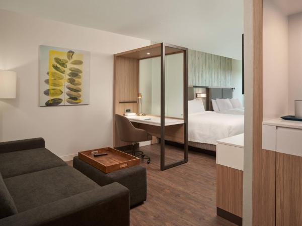 SpringHill Suites by Marriott Orlando Lake Nona : photo 2 de la chambre suite avec 2 lits queen-size gigognes 