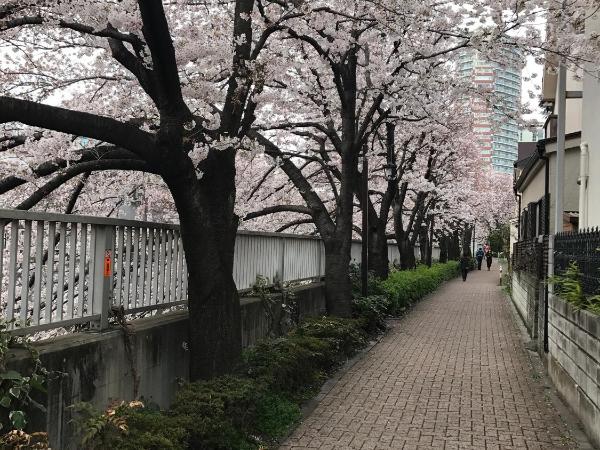 新宿の家-28 square meters 3-person Japanese style walking rice house : photo 6 de la chambre appartement