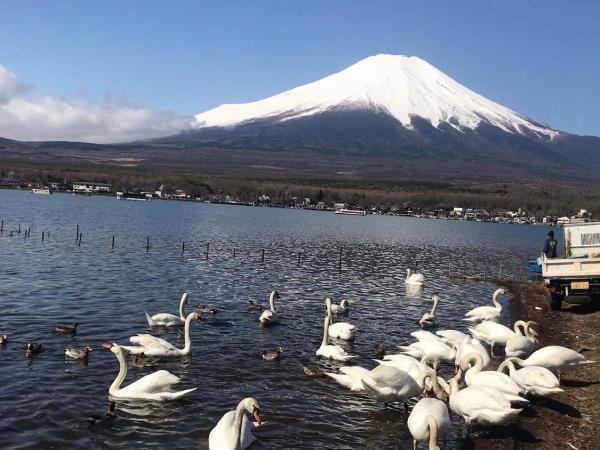 新宿の家-28 square meters 3-person Japanese style walking rice house : photo 9 de la chambre appartement