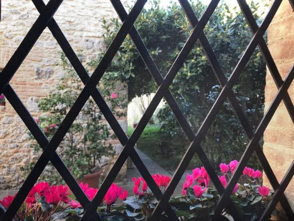 LA VIGNA Agriturismo : photo 7 de la chambre appartement 2 chambres