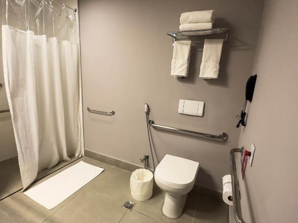 Hotel Vivenzo Savassi Belo Horizonte : photo 1 de la chambre chambre double - accessible aux personnes à mobilité réduite 