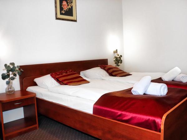 Hotel Lothus : photo 3 de la chambre chambre lits jumeaux