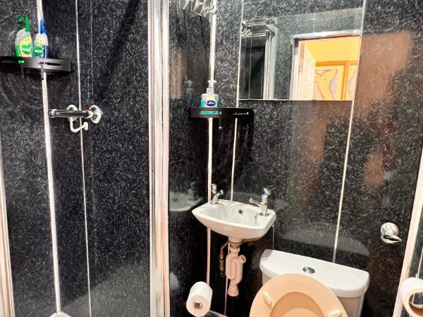 Castle Lodge Guest House 86-88 Sheil Rd L6 3AF : photo 7 de la chambre chambre simple Économique