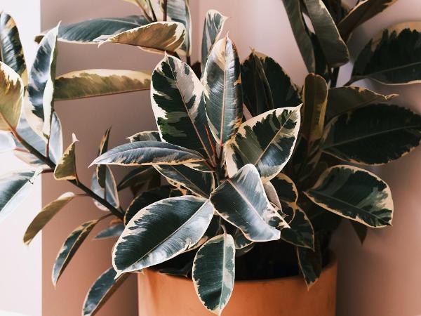 guesthouse by good neighbor : photo 9 de la chambre suite - vue sur ville