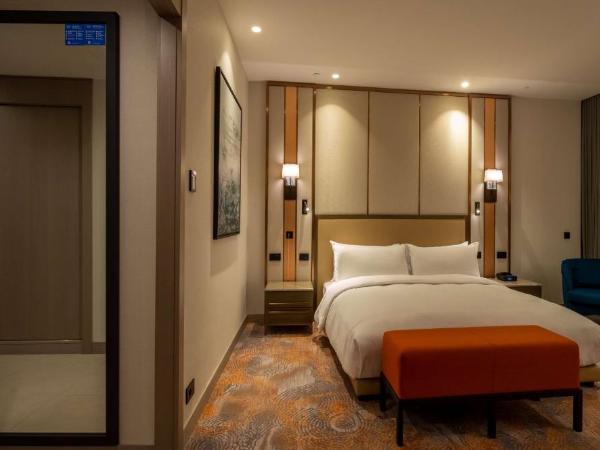 Hilton Mall Of Istanbul : photo 1 de la chambre chambre lit king-size - accessible aux personnes à mobilité réduite