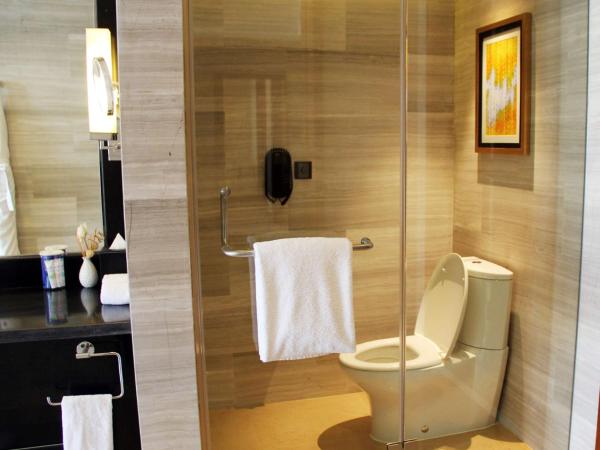 DoubleTree by Hilton Shenyang : photo 10 de la chambre suite king exécutive avec accès au salon