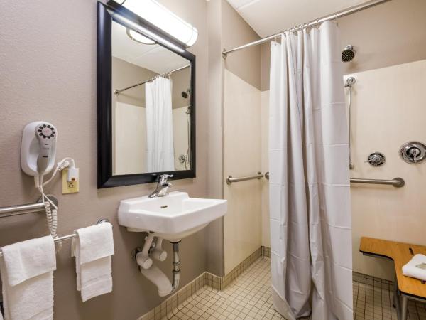 Red Roof Inn PLUS+ Nashville Airport : photo 4 de la chambre chambre lit king-size premium - accessible aux personnes à mobilité réduite - douche accessible en fauteuil roulant - non-fumeurs - literie surclassée & snack