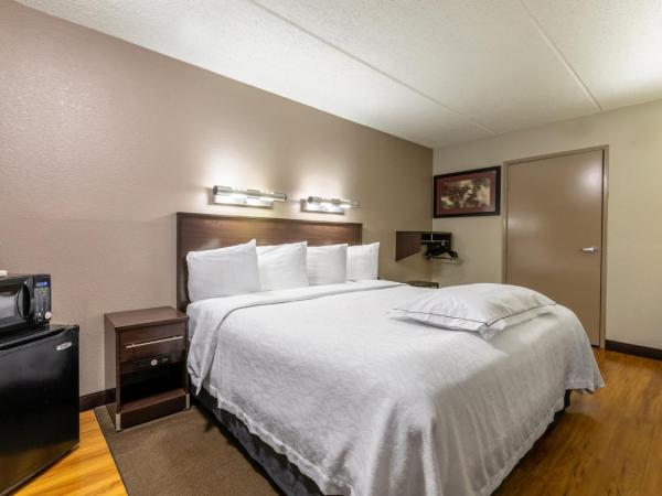 Red Roof Inn PLUS+ Nashville Airport : photo 1 de la chambre chambre premium lit king-size pour personnes à mobilité réduite - non-fumeurs (literie surclassée et collation)