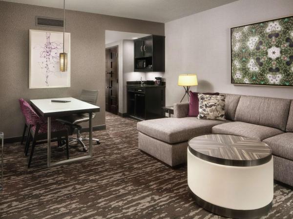 Embassy Suites by Hilton Crystal City National Airport : photo 4 de la chambre suite lit king-size