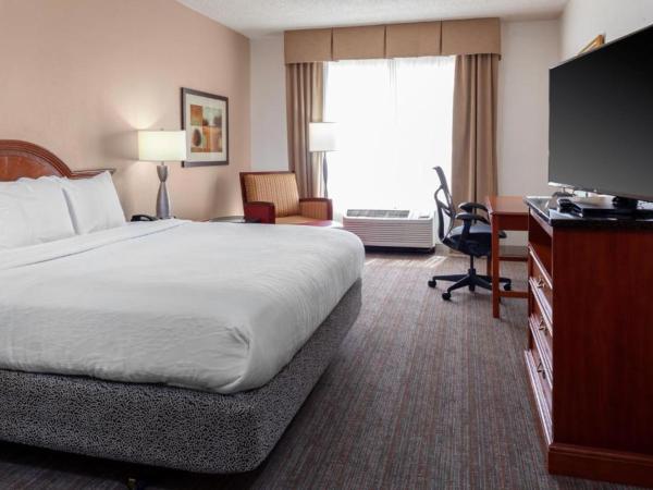 Hilton Garden Inn Charlotte Pineville : photo 3 de la chambre chambre lit king-size avec baignoire spa