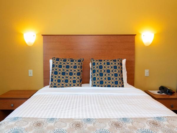 Nordic Inn and Suites : photo 4 de la chambre suite 1 lit queen-size - non-fumeurs