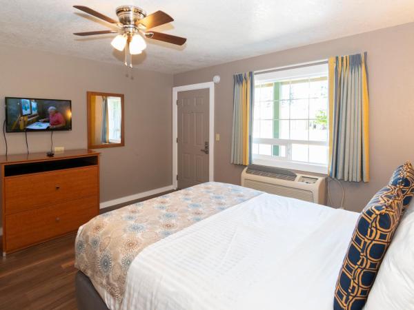 Nordic Inn and Suites : photo 5 de la chambre suite 1 lit queen-size - non-fumeurs