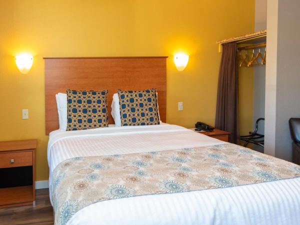 Nordic Inn and Suites : photo 3 de la chambre suite 1 lit queen-size - non-fumeurs