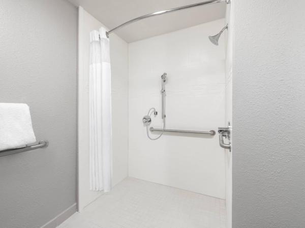 Residence Inn Indianapolis Downtown on the Canal : photo 4 de la chambre suite 1 chambre - vue sur ville