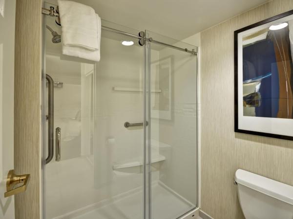 Residence Inn by Marriott Jacksonville Airport : photo 7 de la chambre studio lit king-size avec canapé-lit