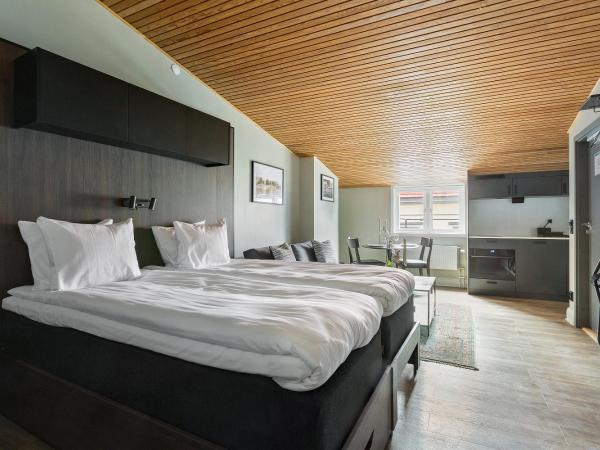 At Old Town Aparthotel : photo 3 de la chambre studio lit king-size avec canapé-lit