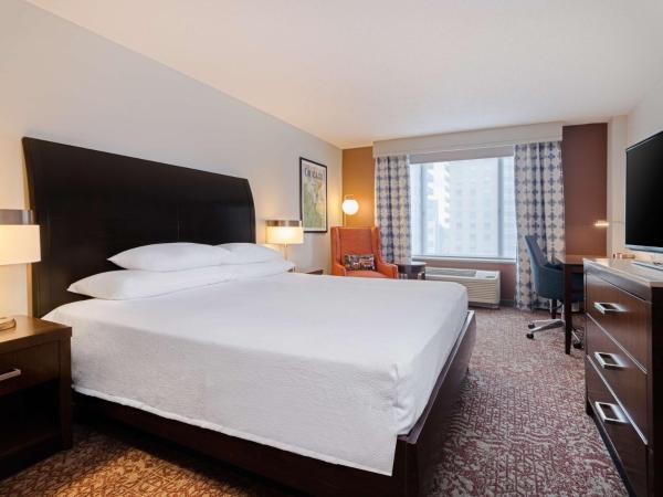 Hilton Garden Inn Chicago Downtown/Magnificent Mile : photo 2 de la chambre chambre lit king-size