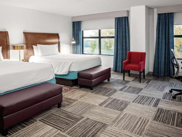 Hilton Garden Inn Atlanta Perimeter Center : photo 1 de la chambre chambre avec 2 grands lits queen-size 