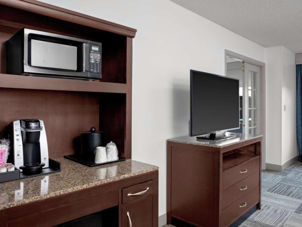 Hilton Garden Inn Atlanta Perimeter Center : photo 3 de la chambre suite junior lit queen-size avec canapé-lit 