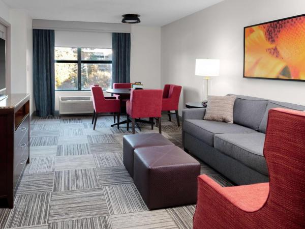 Hilton Garden Inn Atlanta Perimeter Center : photo 1 de la chambre suite junior lit queen-size avec canapé-lit 