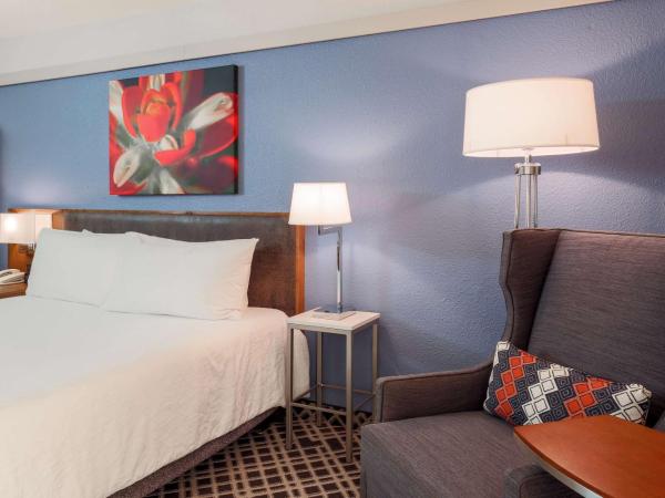 Hilton Garden Inn Dallas/Market Center : photo 3 de la chambre chambre lit king-size