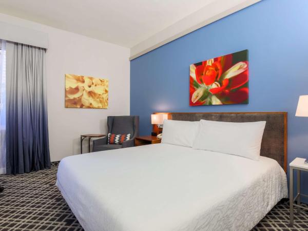 Hilton Garden Inn Dallas/Market Center : photo 4 de la chambre chambre lit king-size avec baignoire - accessible aux personnes à mobilité réduite et adaptée aux personnes malentendantes