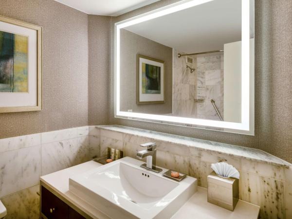 Hilton Dallas Lincoln Centre : photo 4 de la chambre chambre deluxe avec 2 lits queen-size