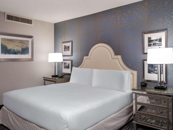 Hilton Dallas Lincoln Centre : photo 2 de la chambre chambre lit king-size avec baignoire - accessible aux personnes à mobilité réduite et adaptée aux personnes malentendantes