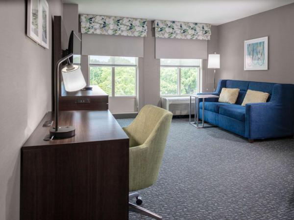 Hampton Inn & Suites Arlington Crystal City DCA : photo 1 de la chambre suite 1 chambre lit king-size - non-fumeurs