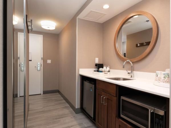 Hampton Inn & Suites Arlington Crystal City DCA : photo 8 de la chambre suite studio queen - non-fumeurs