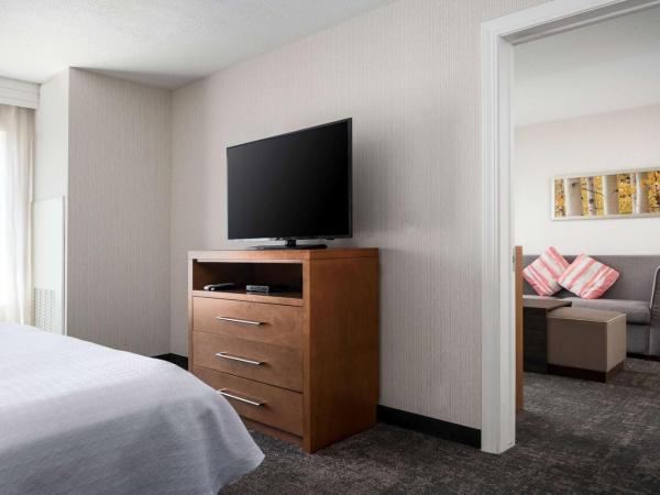 Homewood Suites by Hilton Salt Lake City Downtown : photo 3 de la chambre suite 1 chambre lit king-size