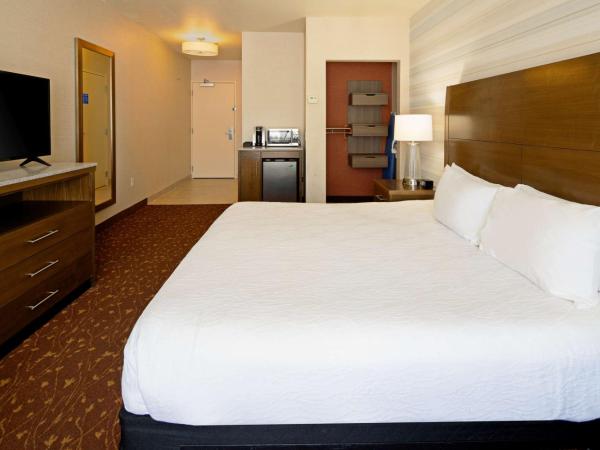 Hilton Garden Inn Albuquerque Airport : photo 3 de la chambre chambre lit king-size avec douche accessible en fauteuil roulant - adaptée aux personnes à mobilité réduite