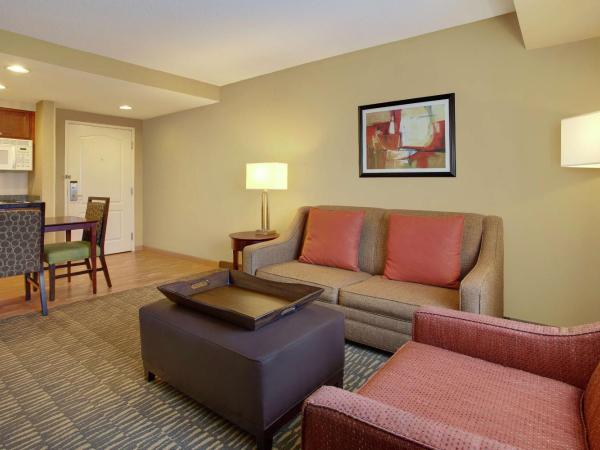 Homewood Suites by Hilton Tampa-Brandon : photo 1 de la chambre suite 1 chambre lit king-size - non-fumeurs