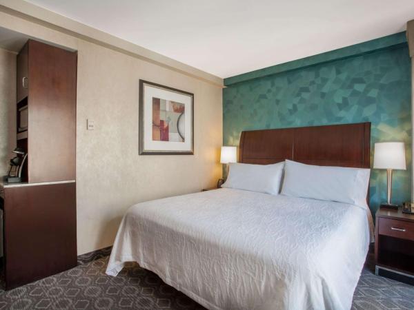 Hilton Garden Inn West 35th Street : photo 2 de la chambre chambre lit king-size