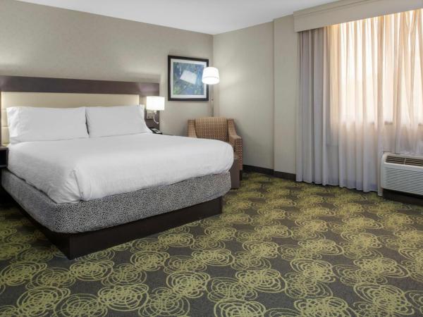 Hilton Garden Inn Reagan National Airport : photo 2 de la chambre chambre lit king-size