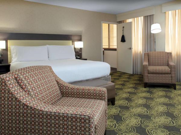 Hilton Garden Inn Reagan National Airport : photo 1 de la chambre chambre lit king-size deluxe