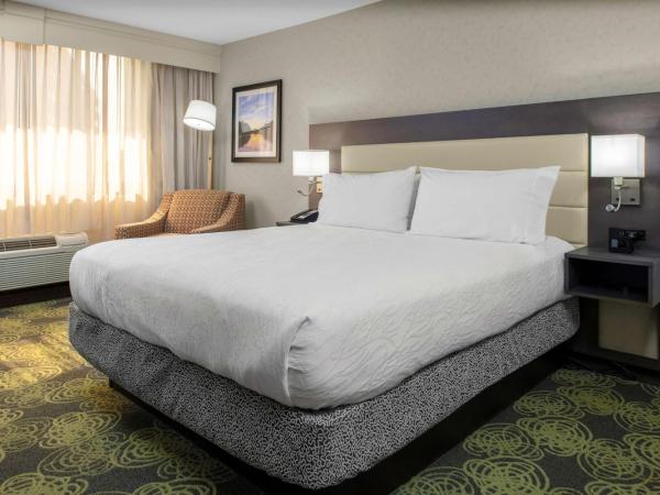 Hilton Garden Inn Reagan National Airport : photo 7 de la chambre chambre lit king-size