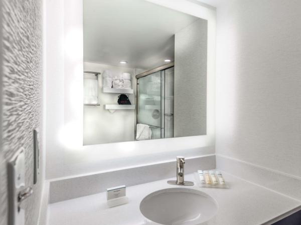 Hilton Garden Inn Reagan National Airport : photo 7 de la chambre chambre lit king-size deluxe