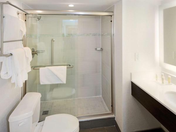 Hilton Garden Inn Reagan National Airport : photo 1 de la chambre chambre lit king-size