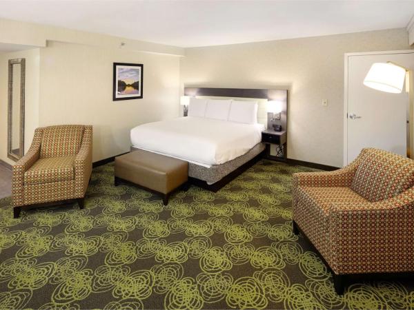 Hilton Garden Inn Reagan National Airport : photo 6 de la chambre chambre lit king-size deluxe