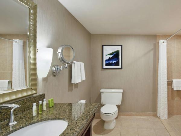 DoubleTree by Hilton Hotel Salt Lake City Airport : photo 5 de la chambre chambre lit king-size avec douche accessible en fauteuil roulant - adaptée aux personnes à mobilité réduite/malentendantes