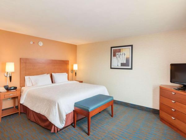 Hampton by Hilton Queretaro Tecnologico : photo 3 de la chambre chambre lit king-size avec douche - non-fumeurs