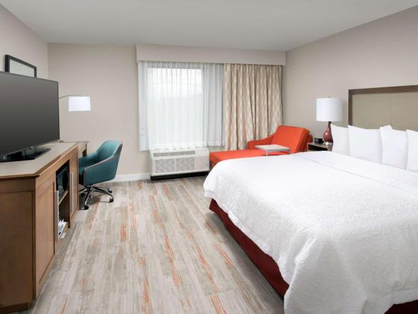 Hampton Inn & Suites San Antonio Lackland AFB SeaWorld : photo 1 de la chambre king room with accessible tub - mobility and hearing access/non-smoking