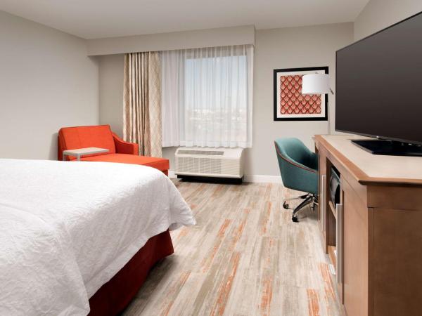 Hampton Inn & Suites San Antonio Lackland AFB SeaWorld : photo 1 de la chambre chambre lit king-size