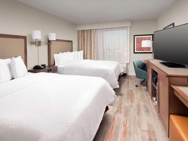 Hampton Inn & Suites San Antonio Lackland AFB SeaWorld : photo 1 de la chambre chambre 2 lits queen-size - non-fumeurs