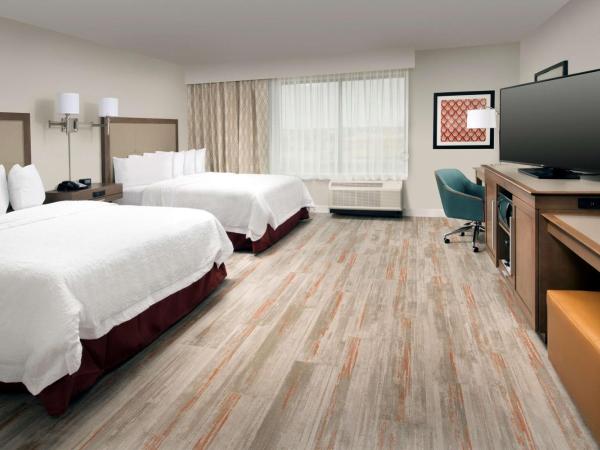 Hampton Inn & Suites San Antonio Lackland AFB SeaWorld : photo 1 de la chambre chambre 2 lits queen-size - accessible aux personnes à mobilité réduite et adaptée aux personnes malentendantes - non-fumeurs