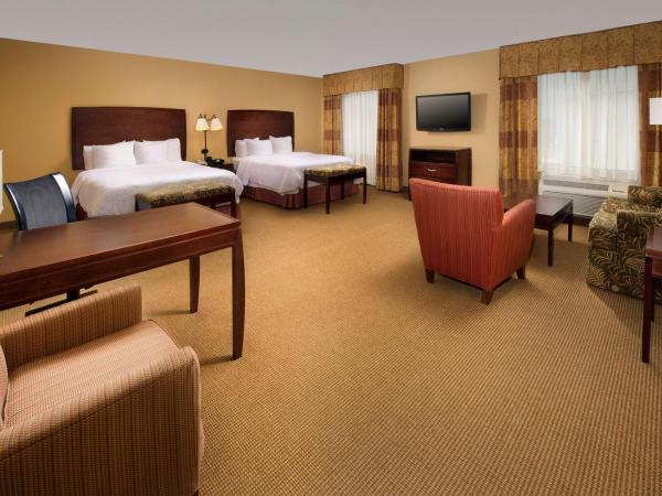 Hampton Inn and Suites San Antonio Airport : photo 1 de la chambre studio queen avec 2 lits queen-size - non-fumeurs