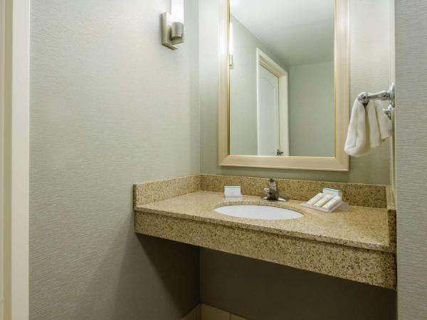 Hilton Garden Inn Orlando International Drive North : photo 5 de la chambre chambre lit king-size avec baignoire - accessible aux personnes à mobilité réduite et adaptée aux personnes malentendantes