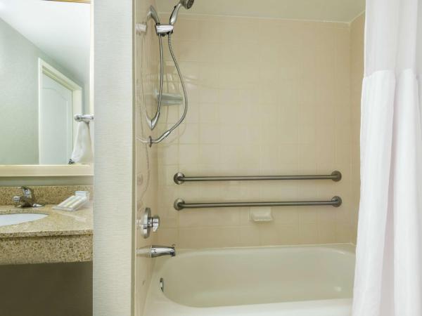 Hilton Garden Inn Orlando International Drive North : photo 6 de la chambre chambre lit king-size avec baignoire - accessible aux personnes à mobilité réduite et adaptée aux personnes malentendantes